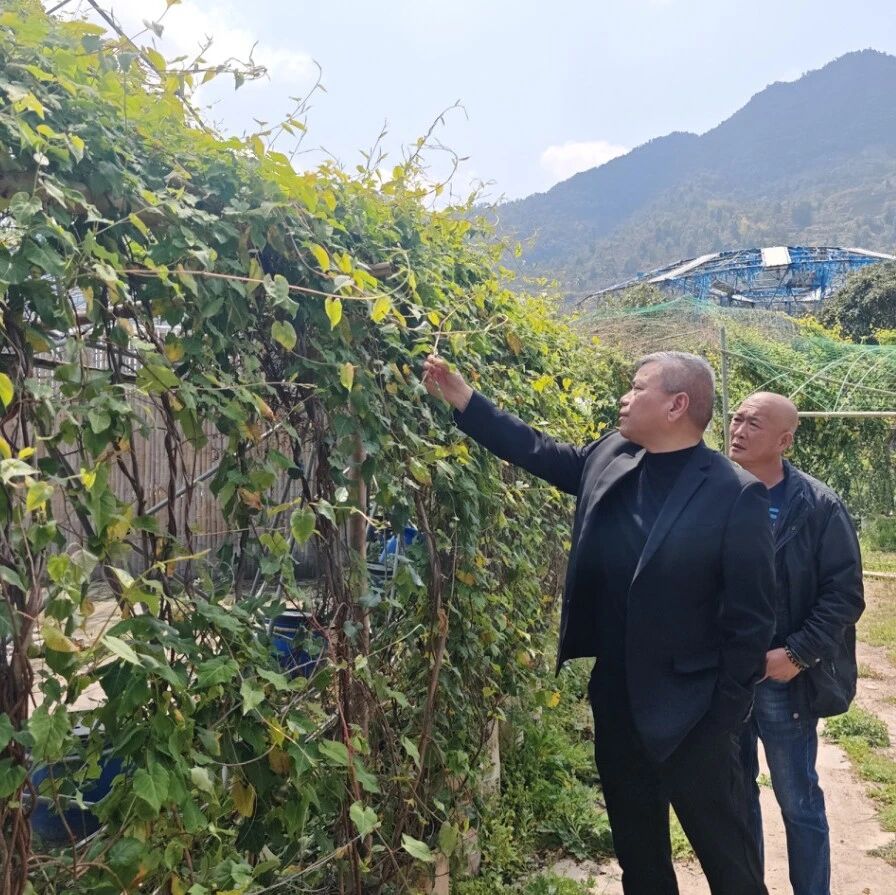 技术帮扶进台企 精准指导助融合