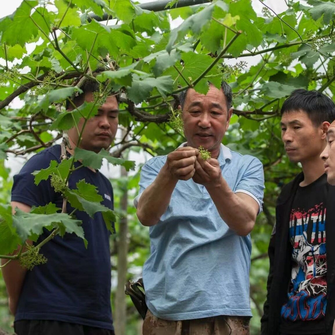 全国表彰！福安1人荣获中国老科协科学技术奖