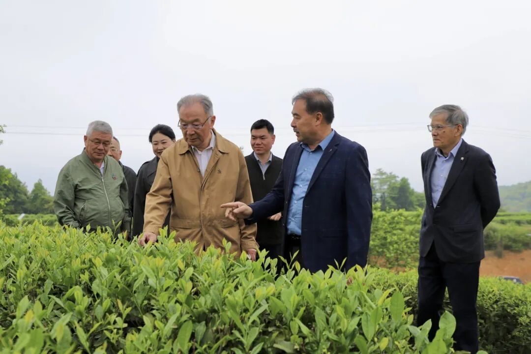 微信图片_20260422164155_990_60