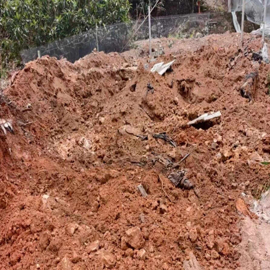 整治违规建坟 守护绿水青山