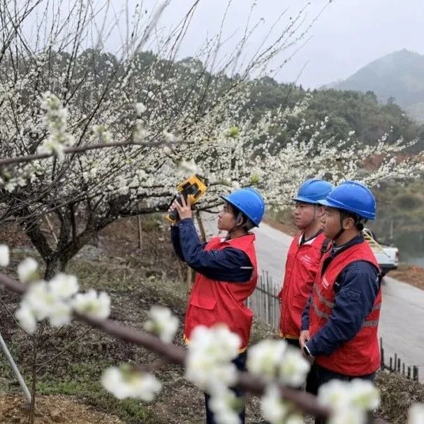 福安电力：电亮春耕路  护“李”满枝头