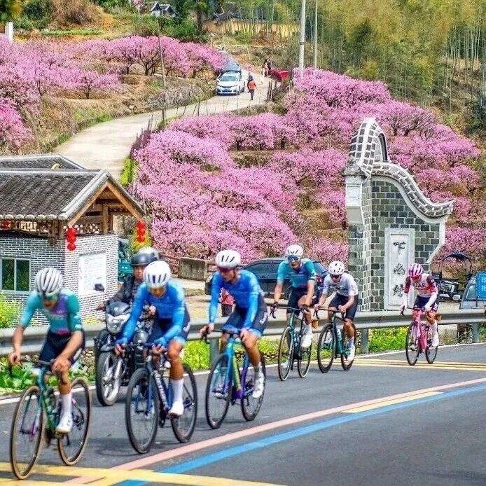 福安“村游”走向“诗和远方”