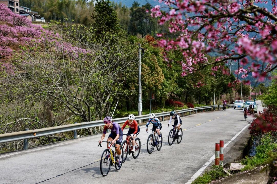 微信图片_20260322161516_150_207