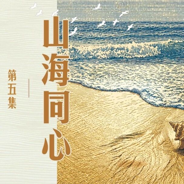 山海同心三十载，“闽宁大道”越走越宽