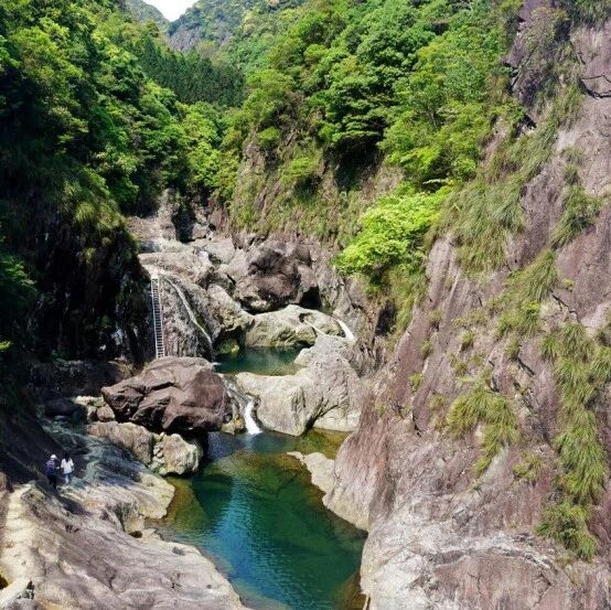 象地龙井探秘