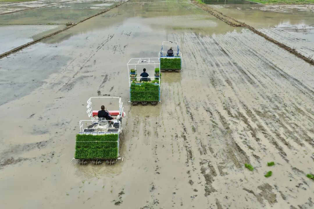 2615e18ec0804e0ae8da5bbb719c6305