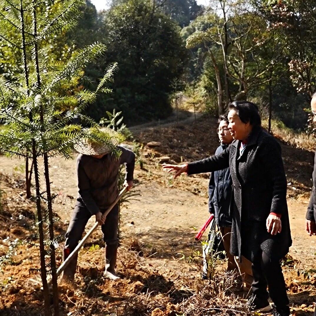 坂中：农技指导+涉税服务 精准护航春耕