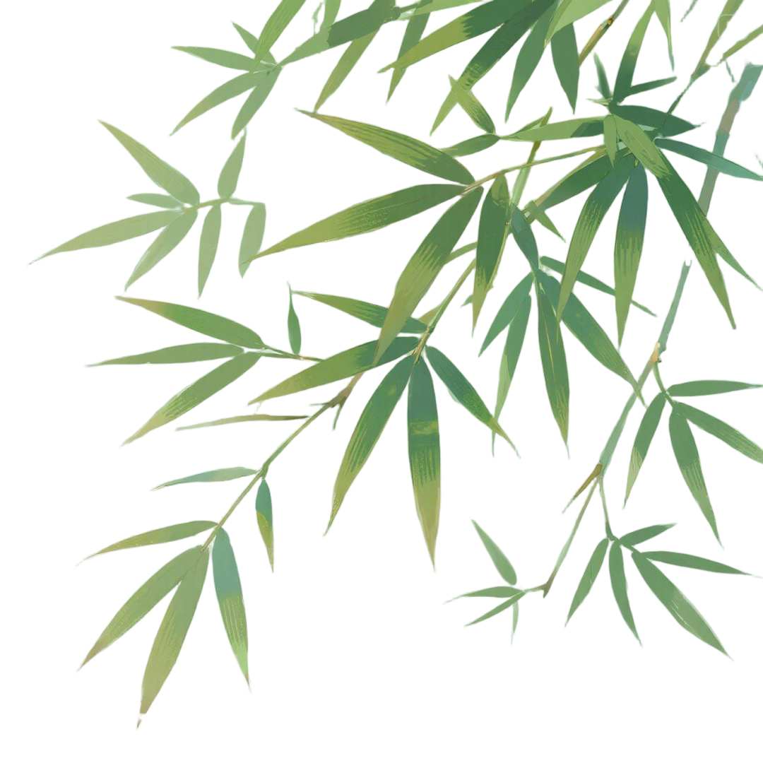 jimeng-2025-07-08-9133-竹林卡通图标 底色透明  好看点(1).png