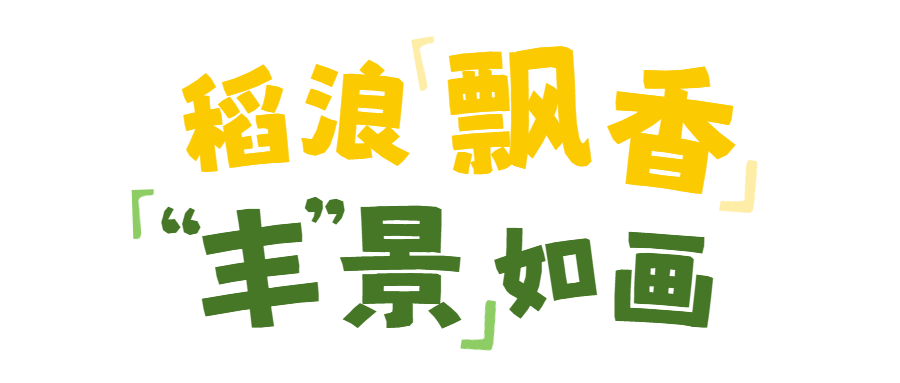 可爱卡通风母婴亲子类交流分享绿色适合宝宝的户外活动小红书内页 (2).png