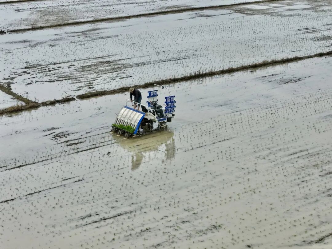 1580e5a1aed180903985afa3aa389b42