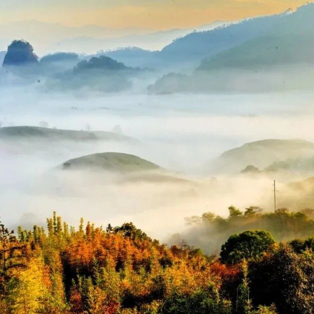 美丽中国，福建何以先行
