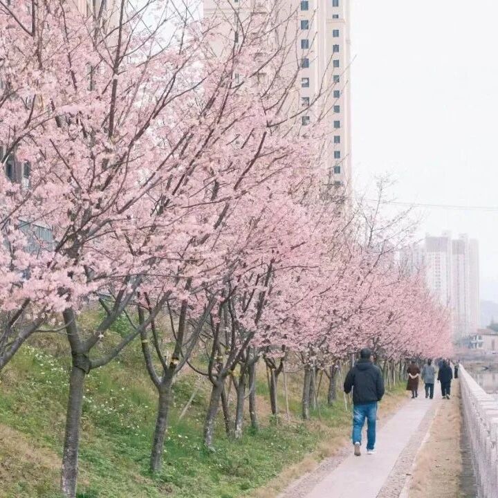 五一Color Walk | 赴一场街巷漫游，解锁赛岐的缤纷调色盘