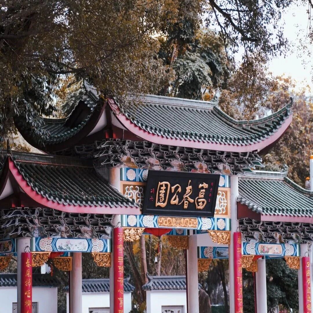 夏天，一起去逛公园呀