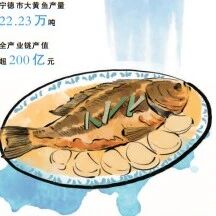 人民日报 | 宁德大黄鱼“重生”记