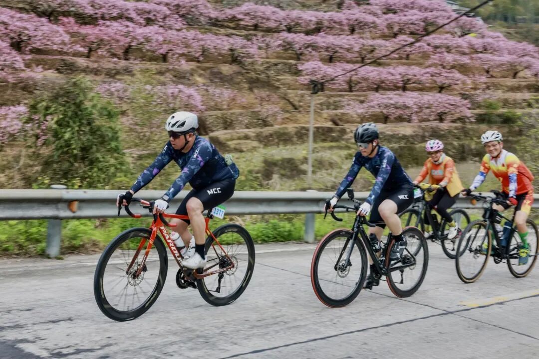 微信图片_20260322161517_151_207