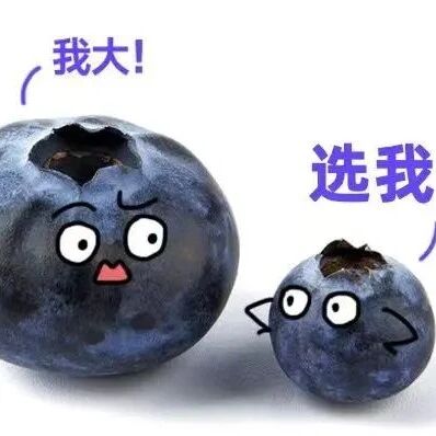 【福安科普】超大蓝莓，真的不建议买！！！
