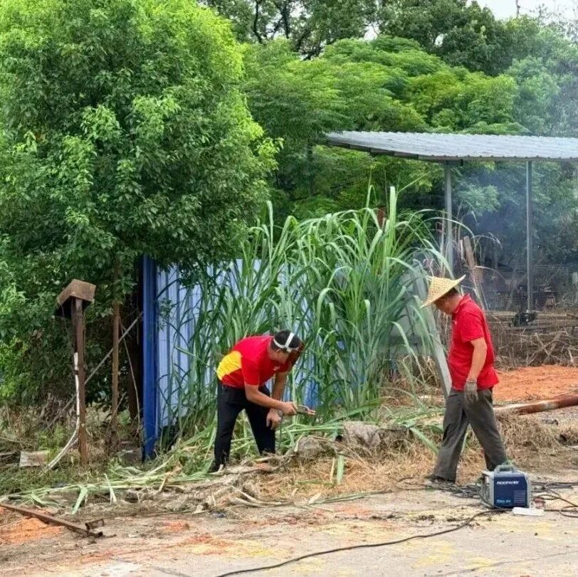 坂中畲族乡：防台整治两手抓 校园周边焕新颜