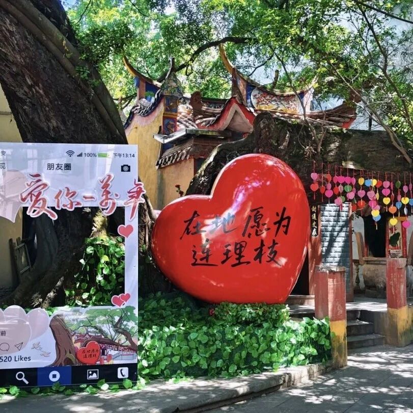 一眼沦陷！福安罗江这个千年古村，跨越时空的古今对话