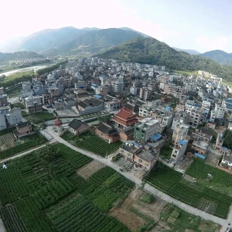 苏堤村，闽东的一颗璞玉