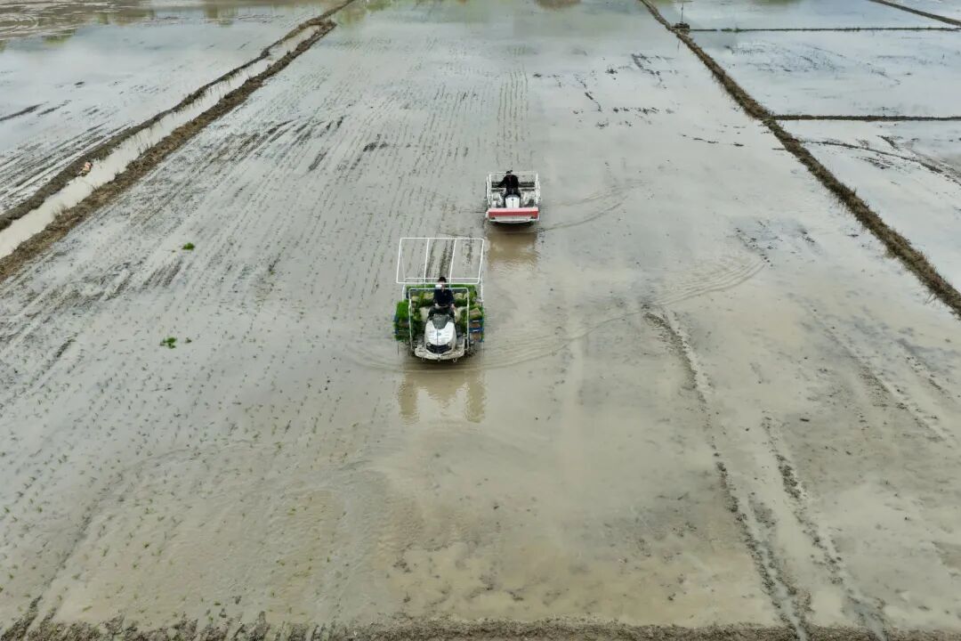 52888d79c3df75e092c4a0e84b5fb227