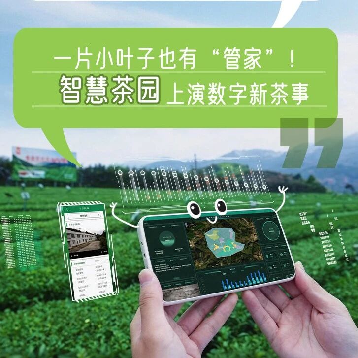 村里来了一群“聪明朋友”，直接带你奔富！