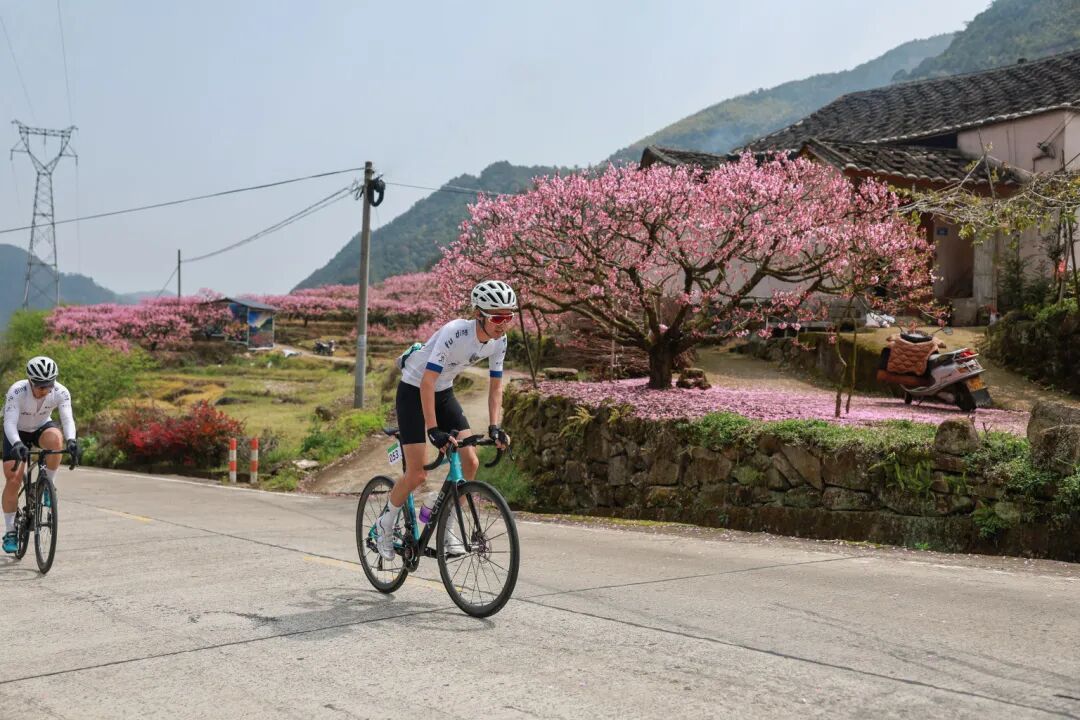 微信图片_20260322161521_154_207