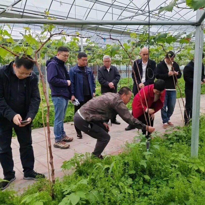 省乡村振兴研究会专家服务团到我市开展葡萄产业科技服务