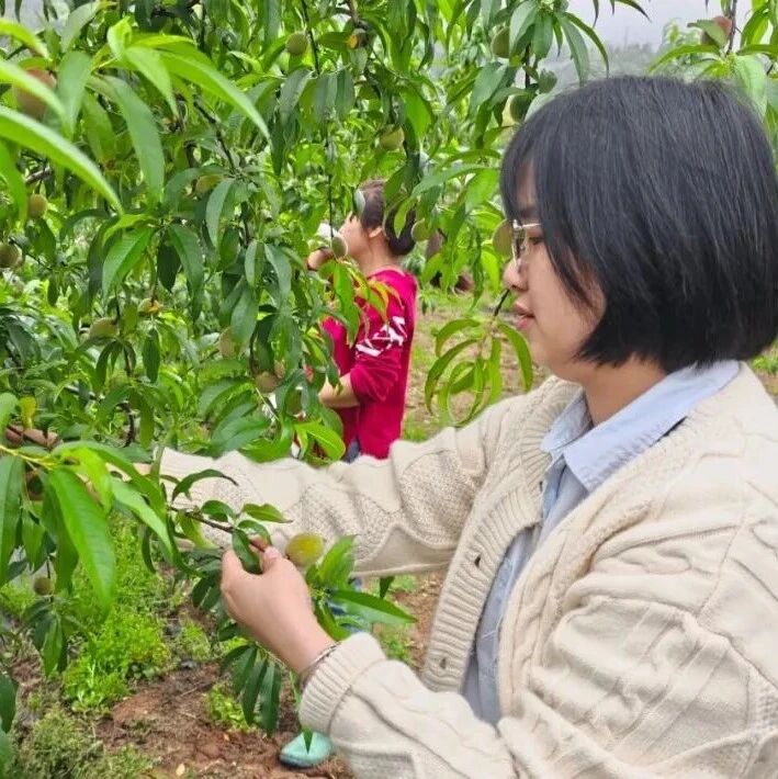 科技工作者风采 | 缪颖：科技沃土育丰年 匠心助农兴乡村