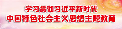 学习贯彻习近平新时代中国特色社会主义思想主题教育