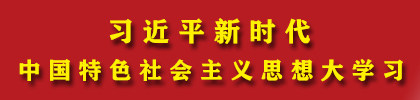 学习贯彻习近平新时代中国特色社会主义思想