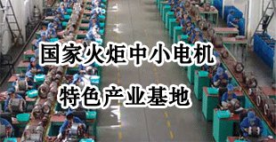 国家火炬中小电机特色产业基地