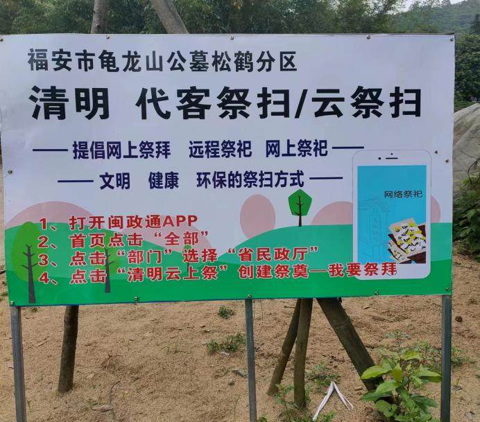 图片8