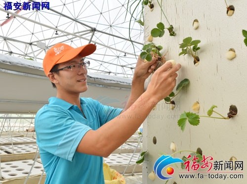 生态农业