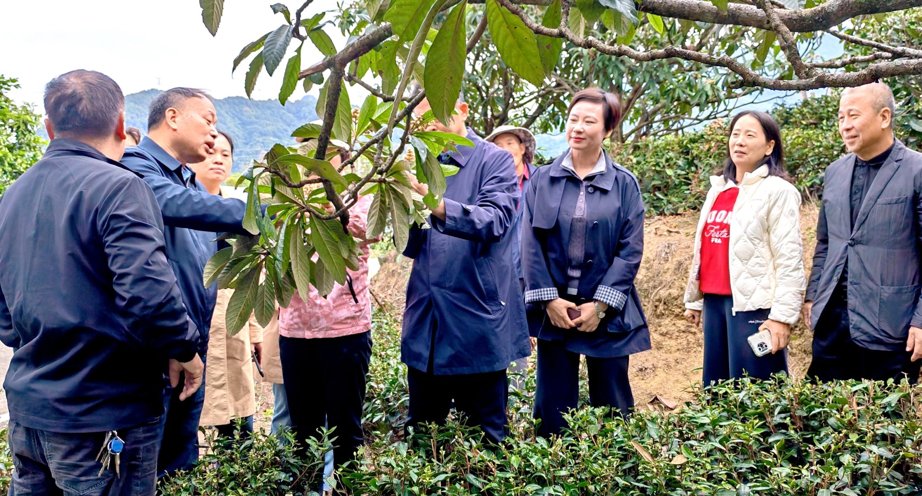 微信图片_20251119172941_77_59